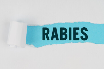 In the middle of a white sheet of paper, a tear is made under which, on a blue background, the inscription - RABIES