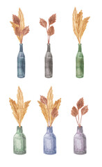Watercolor drawing of dried flowers in a glass vase for interior decor.