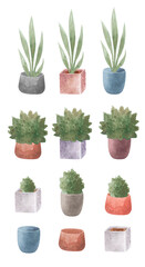 Illustration home geen plants. Watercolor drawing of indoor plants in pots for interior decor.