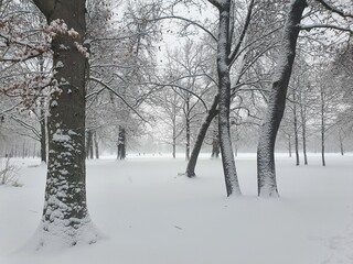 Englischer Garten München im Januar