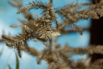 Tiny silvery Christmas tree, close-up with selective focus. Full frame image to use as background with copy space