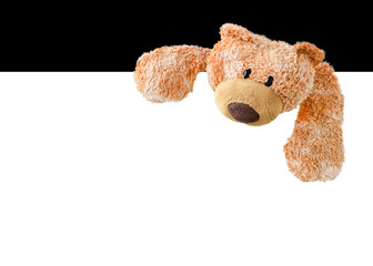 Bear-toy isolated on white and black background for copy space