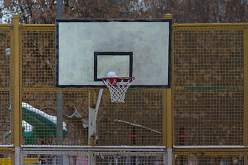basketball hoop on the shield in the yard