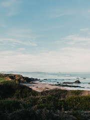 Hermosa Vista del mar con rocas y vegetación