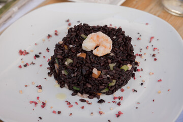 Trani Puglia streets buildings