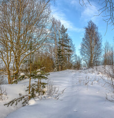 Winter evening on the banks of an old quarry.