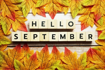 Naklejka na ściany i meble Happy September alphabet letter with maple leaves decoration on wooden background