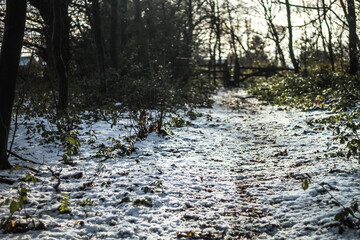 Dimminsdale Park in England near City Ashby