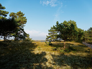 Landschaft mit Dünen und Strandseen am Darßer Ort, Nationalpark Vorpommersche Boddenlandschaft, Mecklenburg Vorpommern, Deutschland