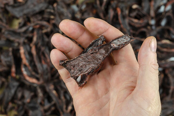 A man's hand demonstrates the quality of pet treats. Dried beef heart on the background.