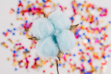blue cotton flower on colorful background