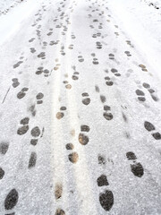 footprints in the snow. Footprints in freshly poured snow. The first snow in the city.