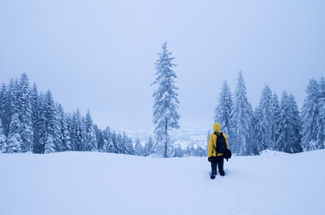 hiker in the mountains, winter forest, yellow jacket