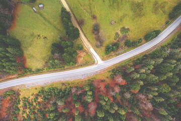 View from above of the mountain road in autumn. Carpathian mountains. Ukraine