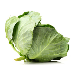 Obraz premium cabbage on white background