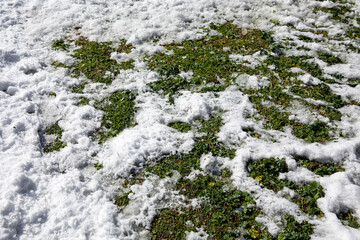 Green lawn partially covered with snow in Athens, Greece, 17th of February 2021.