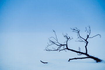 Fototapeta na wymiar Nebel auf dem gefrorenen See