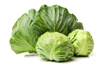 Obraz premium cabbage on white background