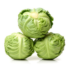 cabbage on white background