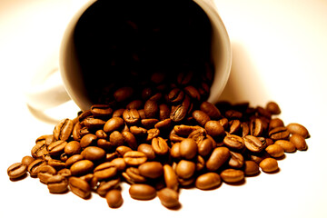 Kaffebohnen mit weißer Tasse.