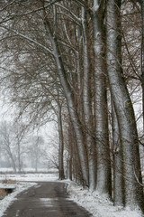 Naklejka premium wintermemories