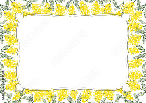 ミモザ アカシア レトロ ヴィンテージ 春のイラスト ドライフラワー 植物柄 Abstract Wall Mural Abstra Aoirokaeru