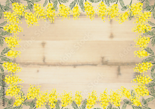 ミモザ アカシア 木目調 春のイラスト ドライフラワー 植物柄 Acacia Wall Mural Acac Aoirokaeru