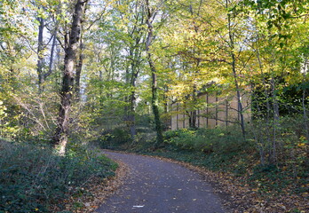 Fototapeta na wymiar Herbst Landschaft auf dem Pfingstberg, Potsdam, Brandenburg