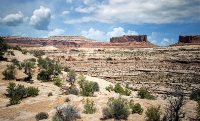 Fototapeta na wymiar Mesmerizing Canyonlands National Park sandstone pillars and pinnacles in Utah