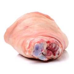 raw pork (leg) isolated on white background