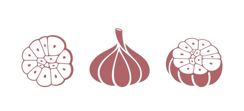 Garlic logo. Isolated garlic on white background