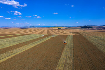 Aerial drone view: combine harvesters working in wheat field.  Agriculture theme, harvesting season
