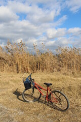 Obraz premium mountain bike on the beach