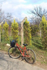Fototapeta premium bicycle in the forest