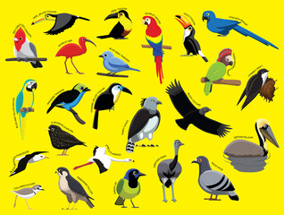 South American Birds with Name Cartoon Character Set 1
