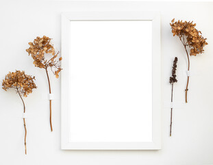 Abstract white background with dried chrysanthemum flowers. In the center of the composition is a white picture frame with an isolated white sheet. Abstract minimalistic composition for florist design
