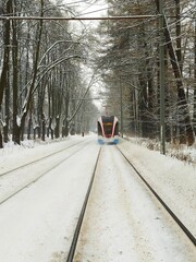 train in the snow