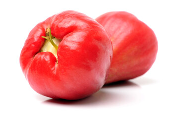 Rose apples or chomphu on white background