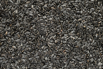 sunflower seeds background, closeup of roasted seeds