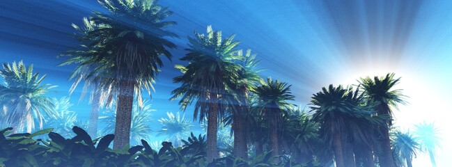 Palm trees in the sun, a grove of palm trees in the morning in the fog, sunlight in the branches of palm trees, 3D rendering