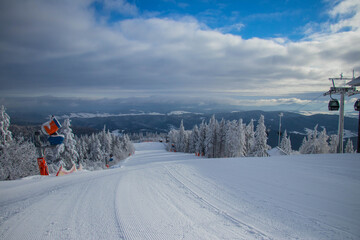 winter forest in the mountain covered by snow 