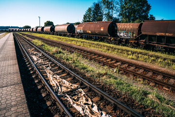 Fototapeta na wymiar cargo train on railway
