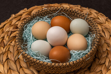 卵のデザイン　Pictures of various beautiful egg designs 