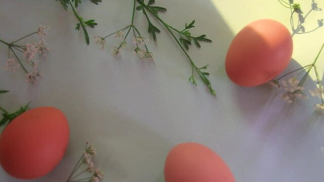Rack focus on eggs and dainty flowers arranged to create a border Spring and Easter theme background
