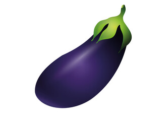 große Violett leuchtende Aubergine