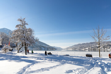 Frosty lake in the sunshine