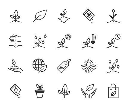 Vector set of plant line icons. Contains icons seedling, seeds, growing conditions, leaf, growing plant and more. Pixel perfect.