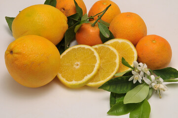 Grupo de naranjas de Valencia