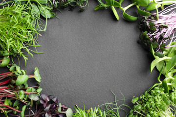 Frame made with different microgreens on black table, flat lay. Space for text
