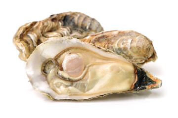 Naklejka premium Fresh opened oyster on white background